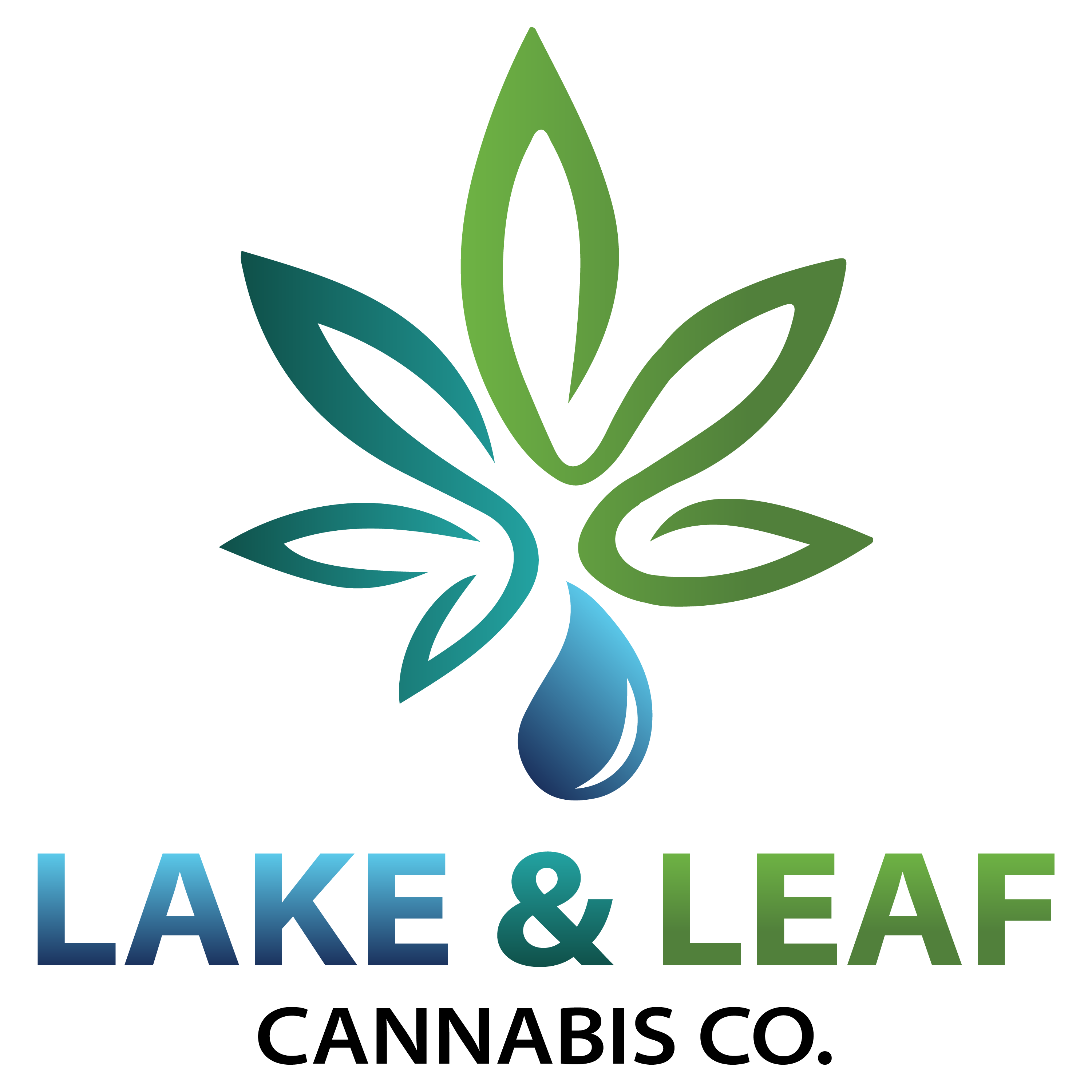 Lake and Leaf